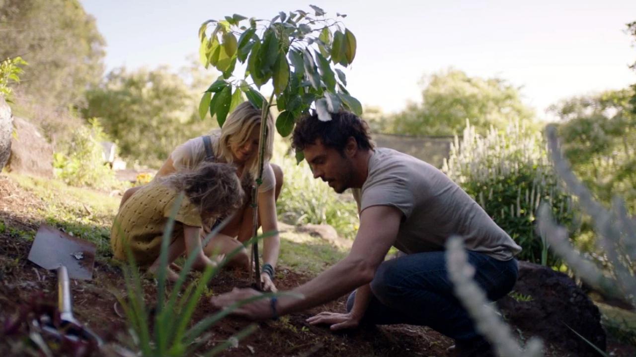 Szenenbild aus dem Film "2040 – Wir retten die Welt!": Ein Mann, eine Frau und ein kleines Mädchen pflanzen gemeinsam einen Baum. (© Universum Film)