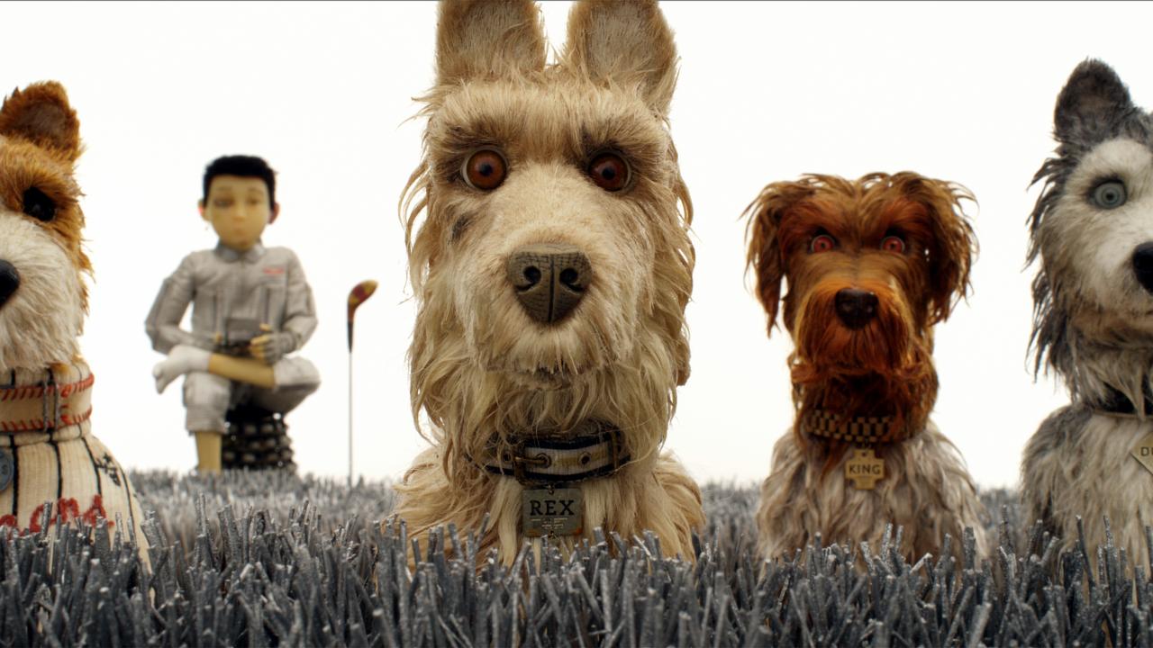 Szenenbild aus dem Stop-Motion-Film "Isle of Dogs": Isle of Dogs – Ataris Reise, Szenenbild:Drei Hundefiguren stehen im hohen Gras und schauen den Betrachtenden direkt an. Im Hintergrund dert japanische Junge Atari.