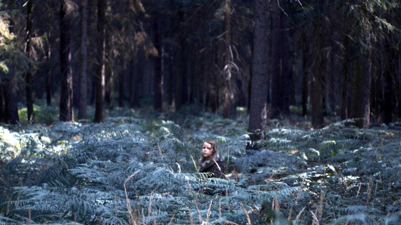 Szenenbild aus dem Drama MILCHZÄHNE: In einem Wald inmitten von Farnen steht ein kleines Mädchen und schaut in die Kamera.