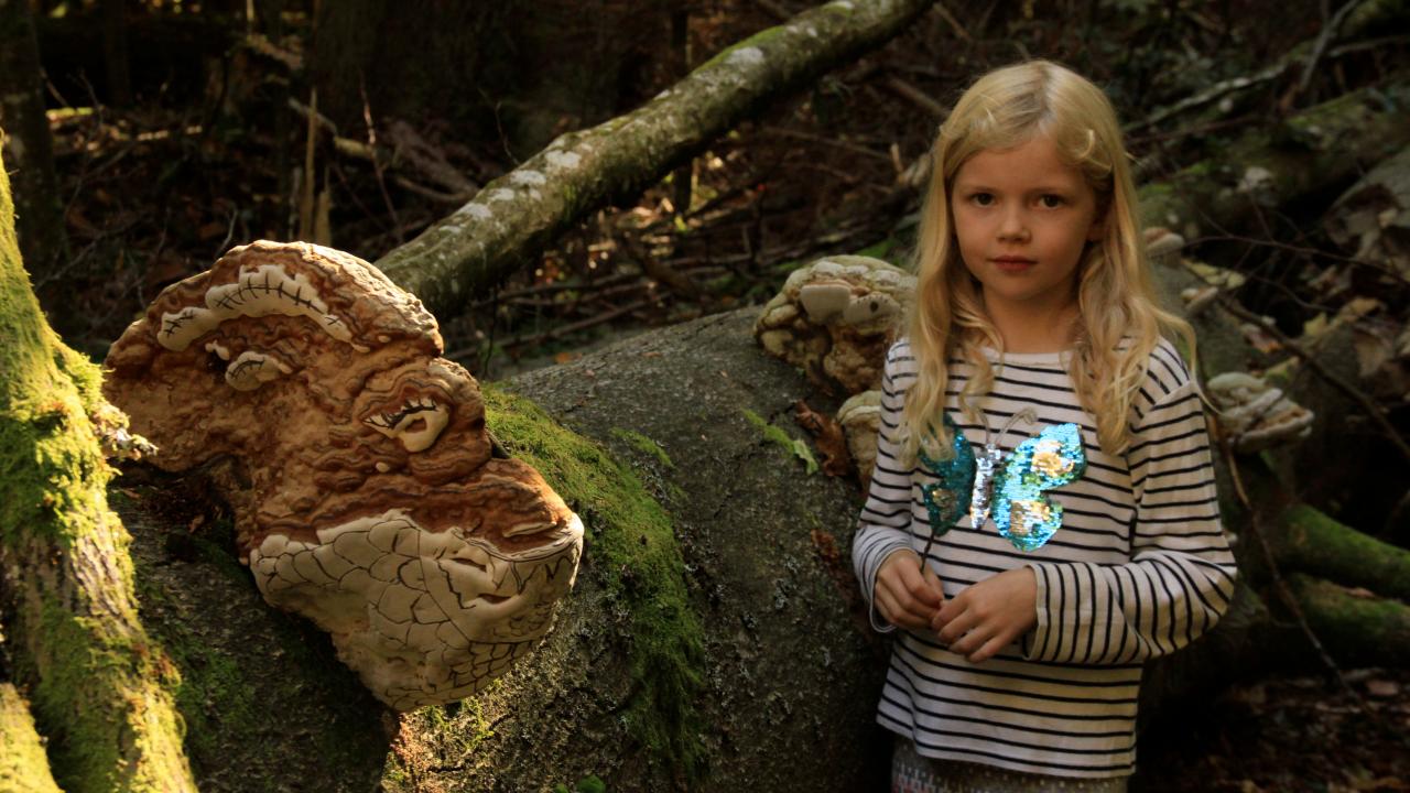 Lene und die Geister des Waldes, Szenenbild, Nahaufnahme: Ein blondes Mädchen steht neben einem umgefallenen Baumstamm im Wald.