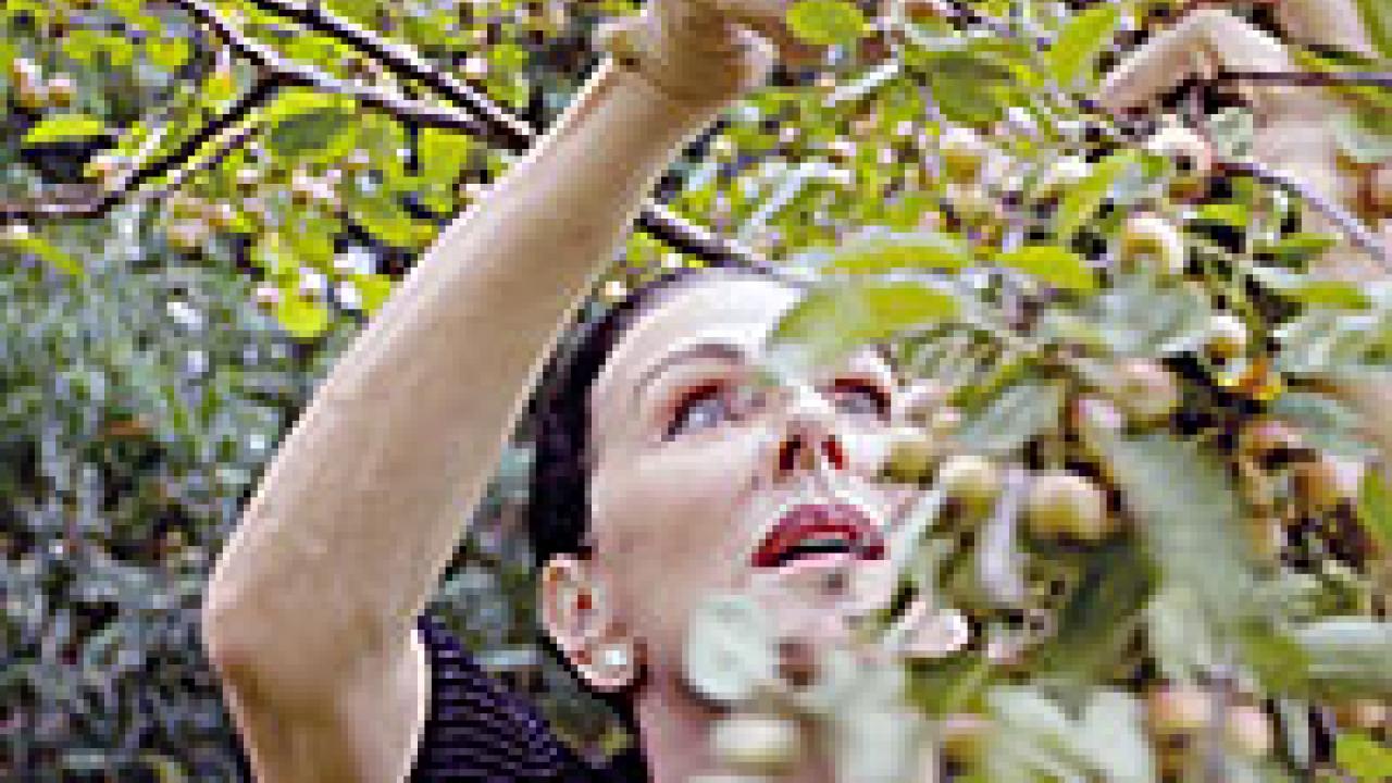 Lebenszeichen – Jüdischsein in Berlin, Szenenbild: Nahaufnahme einer dunkelhaarigen Frau, die Zweige eines Mirabellenbaums schneidet