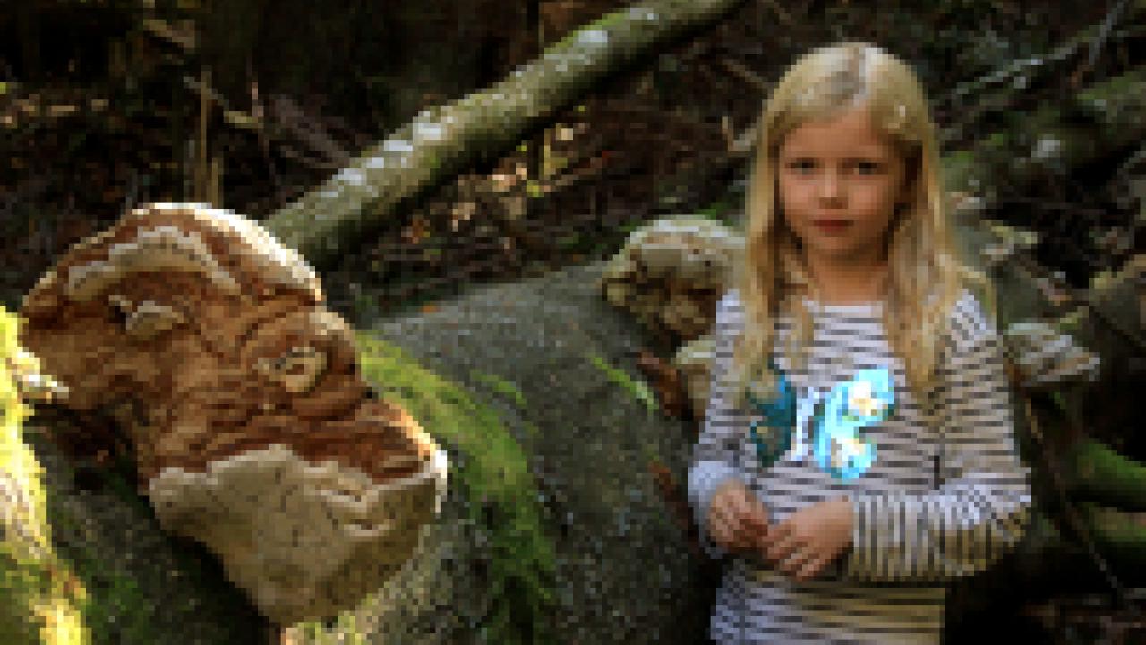 Lene und die Geister des Waldes, Szenenbild, Nahaufnahme: Ein blondes Mädchen steht neben einem umgefallenen Baumstamm im Wald.