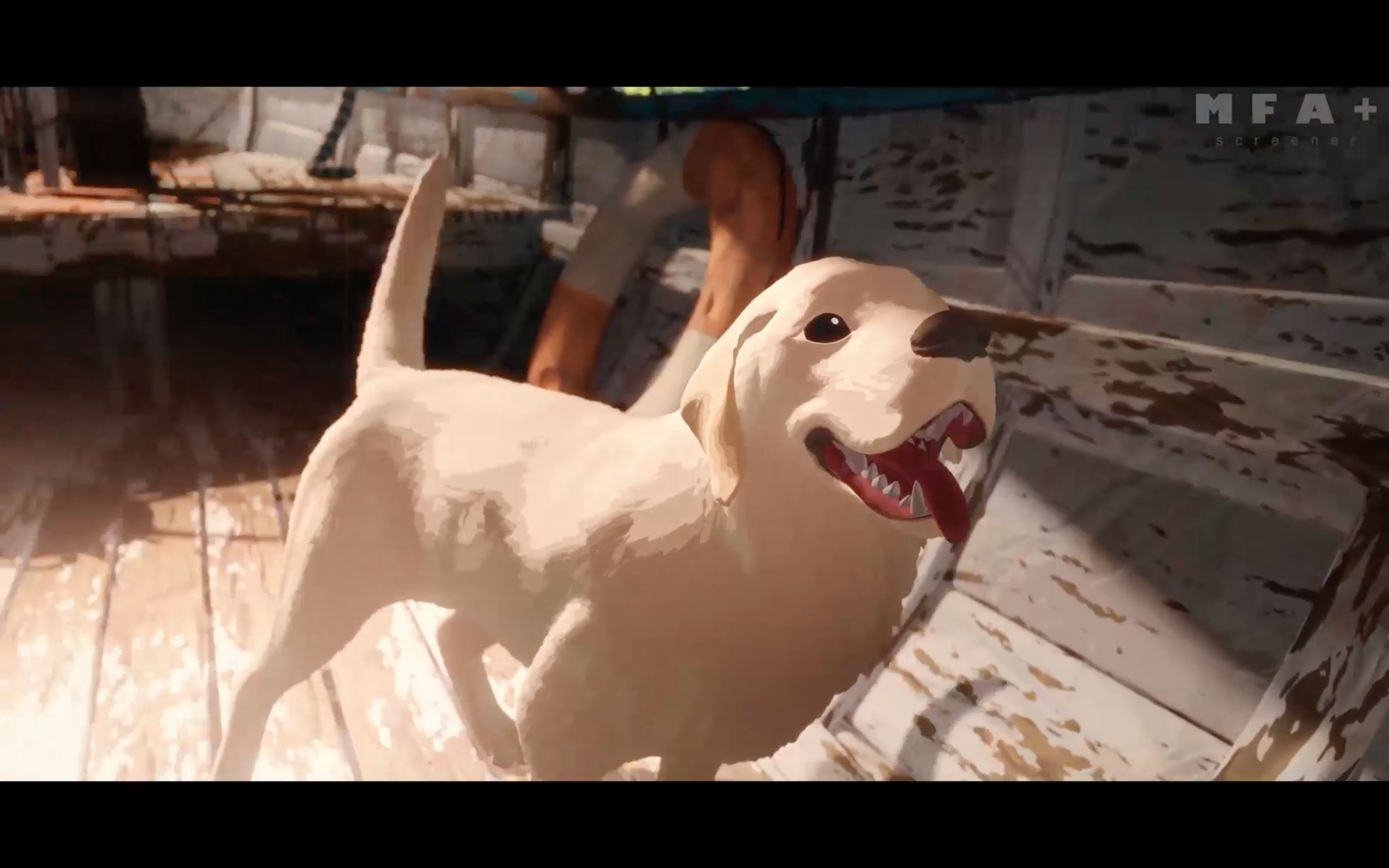 Ein weißer Labrador befindet sich auf einem Boot. Er schaut freudig.