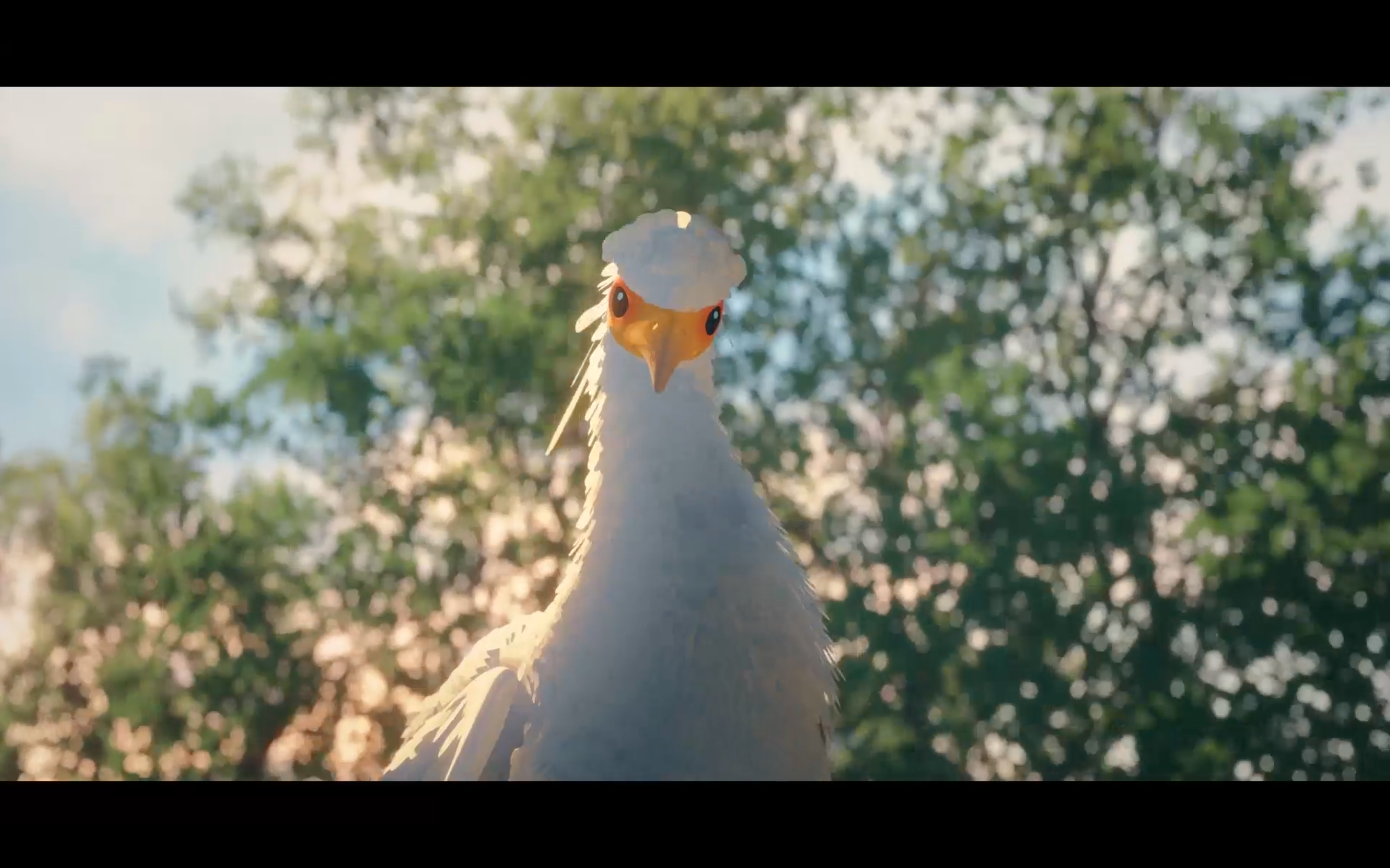 Ein weißer Vogel mit gelbem Schnabel blickt die Zuschauer_-innen an.