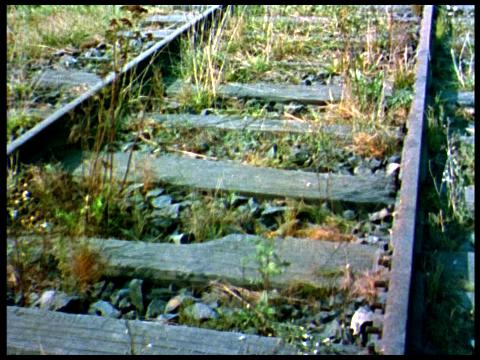 Nacht und Nebel, farbiges Filmstill: Nahaufnahmen von einem mit Unkraut überwuchertem Gleis