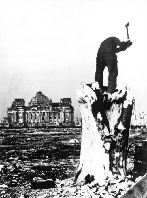 Deutschland im Jahre Null, Filmstill: Ein Mann hackt im zerbombten Berliner Tiergarten einen Baumstumpf. Im Hintergrund ist der zerstörte Reichstag zu sehen.