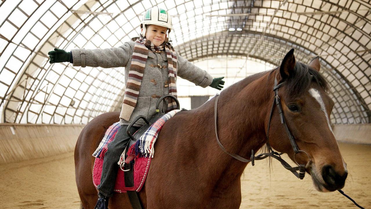 Szenenbild aus dem Film „Das Pferd auf dem Balkon“: Ein Junge mit Helm sitzt auf einem braunen Pferd und breitet seine Arme aus.