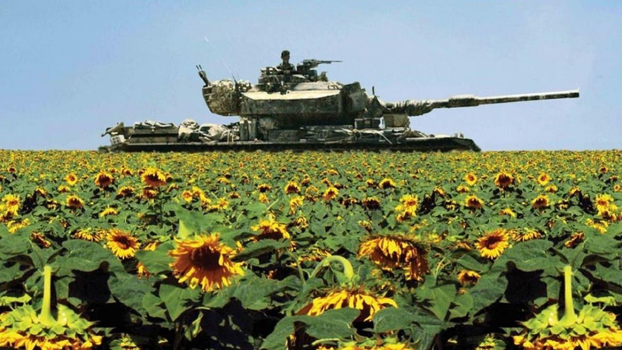 Lebanon, Szenenbild: Eine Totale von einem israelischen Panzer in einem Sonnenblumenfeld