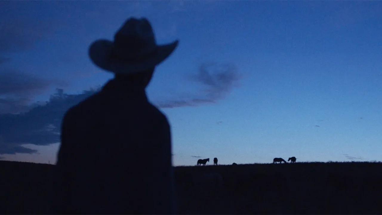 Ein Mann mit Cowboyhut und nur als Silhouette vor einem Blaune Himmel zu erkennen schaut auf Pferde in der Ferne