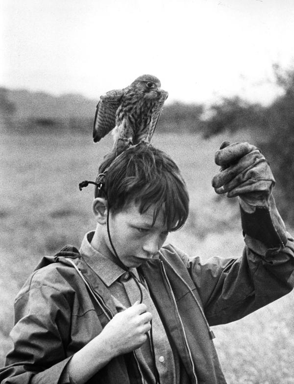 Kes, Szenenbild: ein Junge mit einem Falken auf seinem Kopf