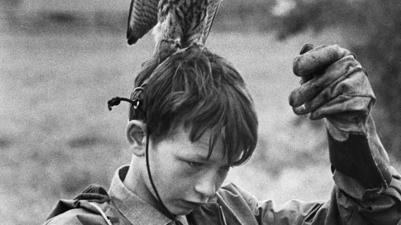 Kes, Schwarz-Weiß-Szenenbild: ein Junge mit docken Handschuhen und ein Jagdvogel auf den Kopf