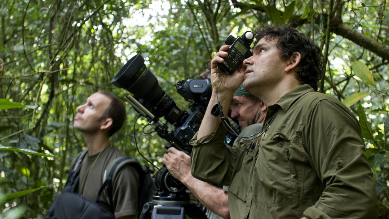 Mark Linfield mit Kameramännern im Jungle auf dem Set vom Film Schimpansen