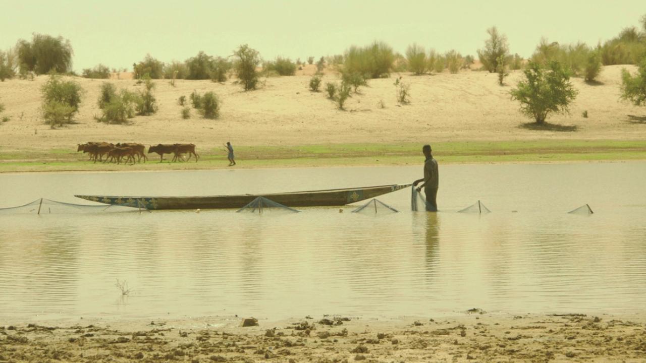 Timbuktu, Szenenbild: Eine Pirroge auf einer Wasserfläche. Daneben eine Figur und im Hintergrund Büffeln in einer Wüstenlandschaft.