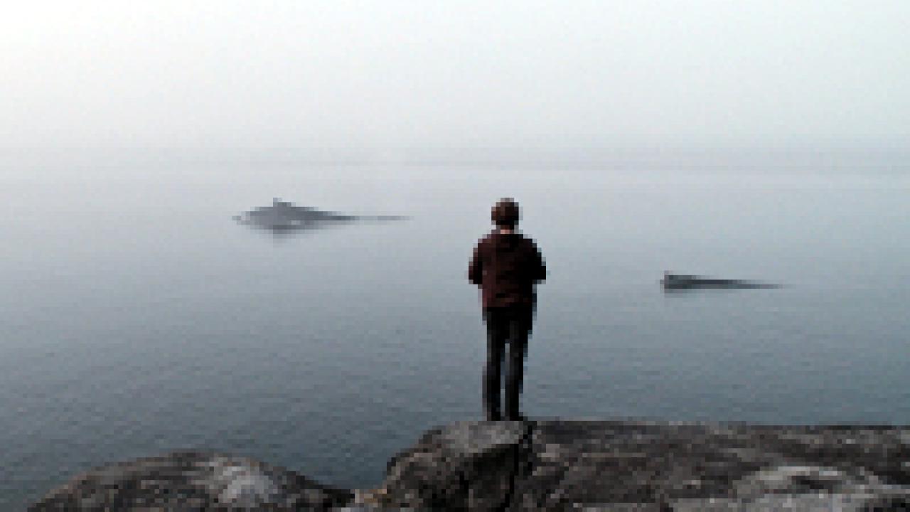 The Whale & The Raven, Szenenbild: Totale: Ein Frau mit dem Rücken zum Betrachter blickt auf eine Bucht. Im Wasser schwimmen zwei Wale.