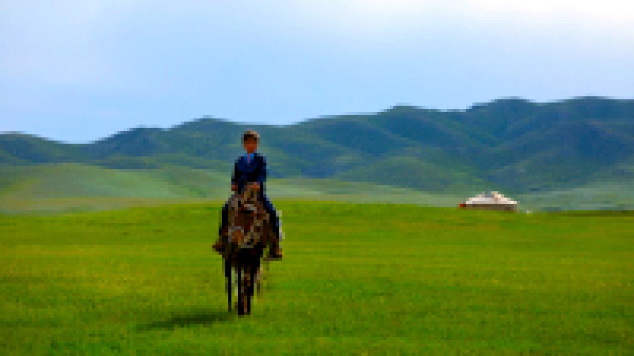 Die Adern der Welt, Szenenbild: Ein Junge auf einem Pferd reitet durch eine Steppenlandschaft