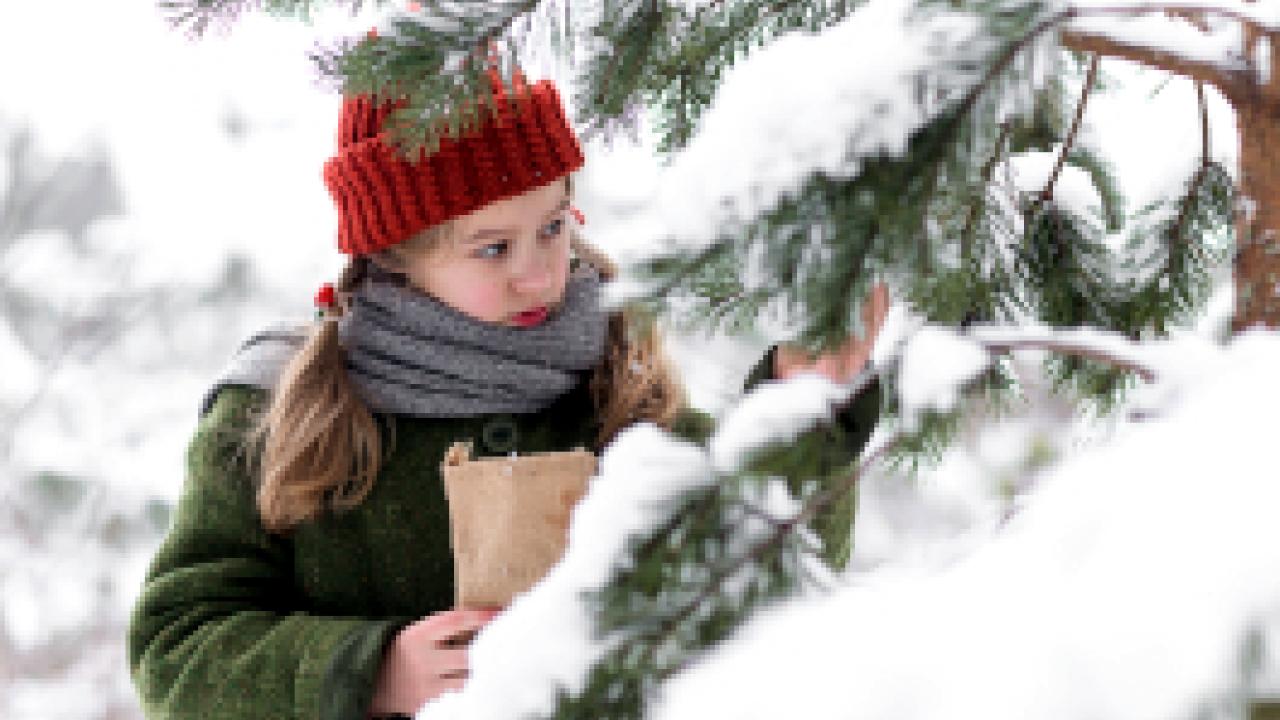 Weihnachten im Zaubereulenwald, Szenenbild: Nahaufnahme: Ein Mädchen im grünen Mantel und mit roter Mütze steht neben zugeschneiten Fichtenzweigen. (Foto: Kristjan Mõru)