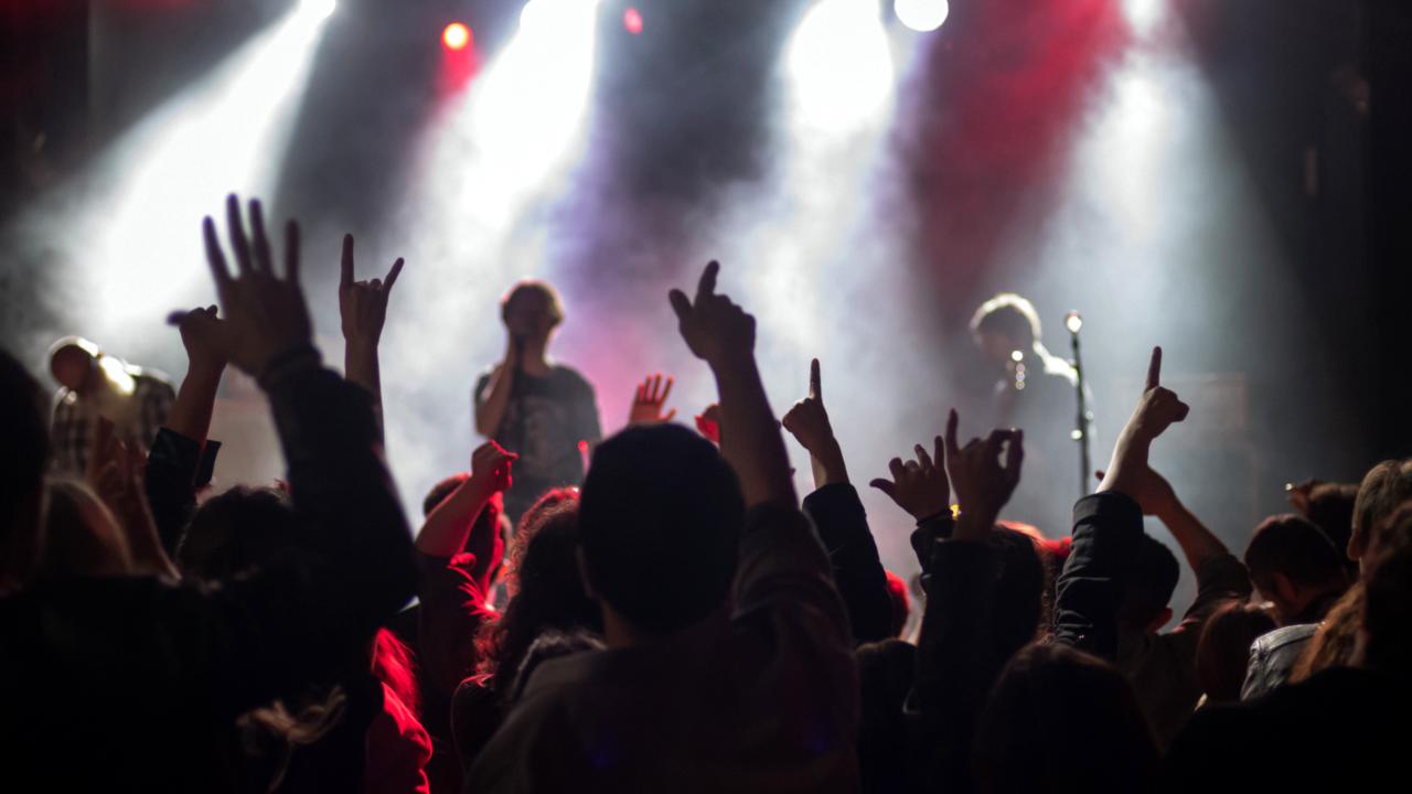 Frieden, Liebe und Death Metal, Szenenbild: Blick auf einer Konzertbühne vom Publikumsraum aus; im Gegenlicht sieht man erhobene Arme der Zuschauer/-innen