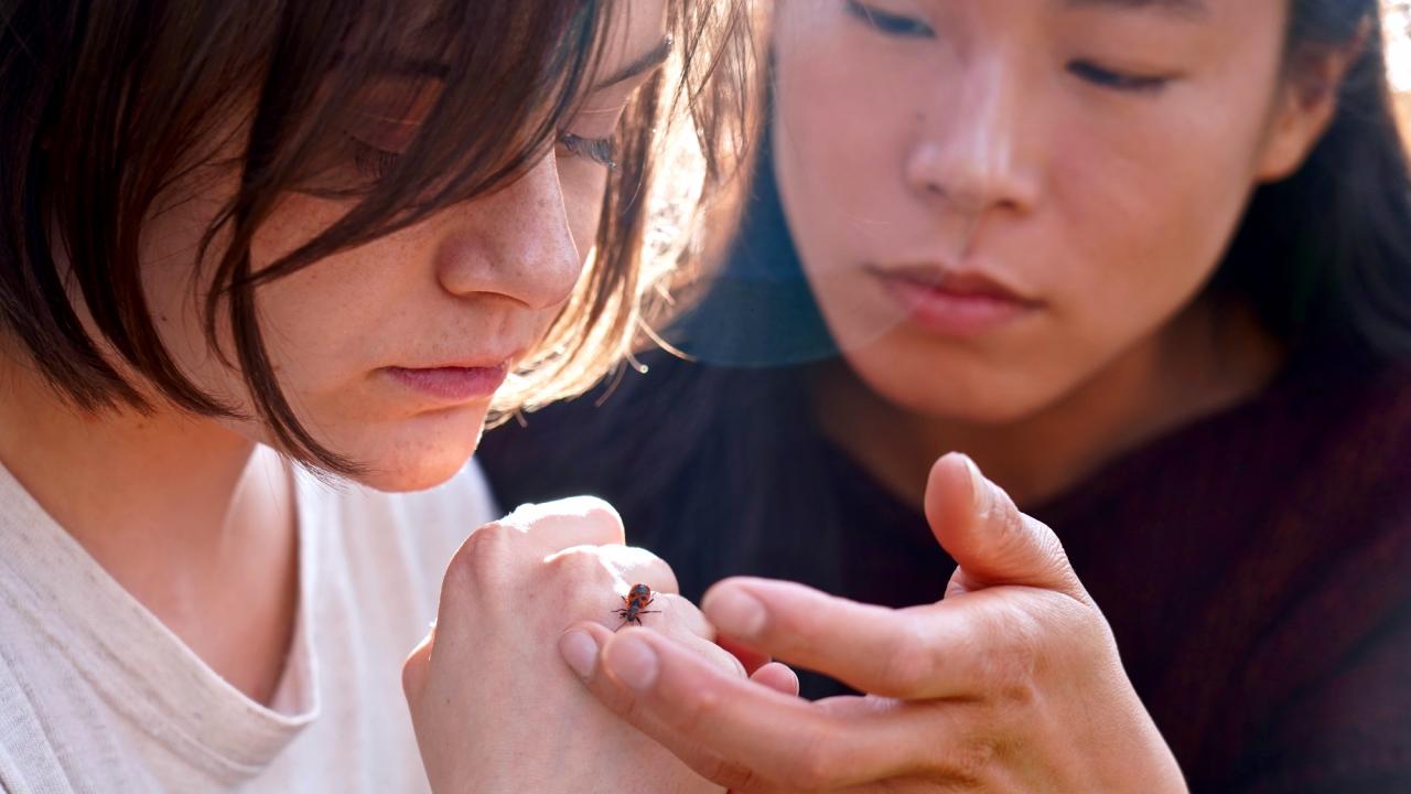 Szenenbild aus dem Film "Zwischen uns der Fluss": Großaufnahme von den Gesichtern zweier jungen Frauen. Auf dem Finger der einen krabbelt ein Marienchenkäfer, den die beiden betrachten.