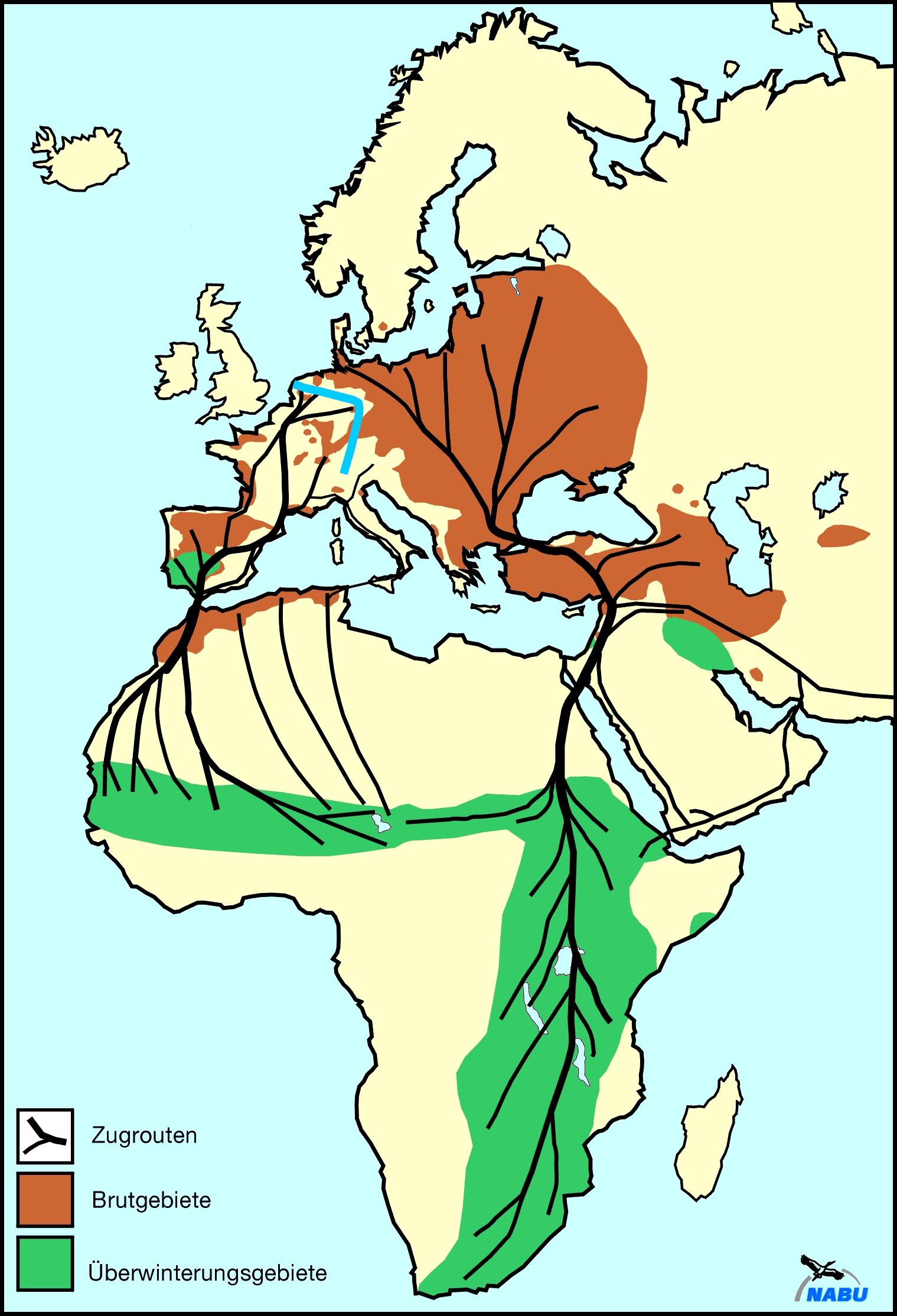 Die Zugrouten der Weißstörche